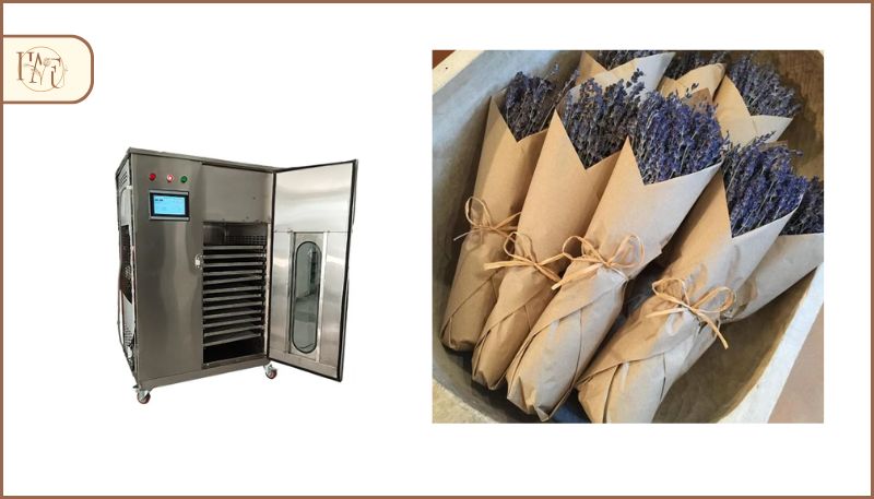 cách làm hoa khô bằng phương pháp sấy lạnh