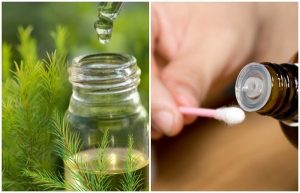 Tác dụng khử mùi