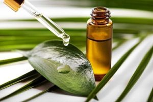 Tìm hiểu tinh dầu tràm trà