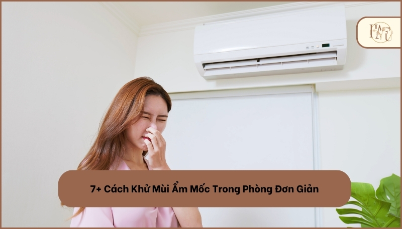 7+ Cách Khử Mùi Ẩm Mốc Trong Phòng Đơn Giản