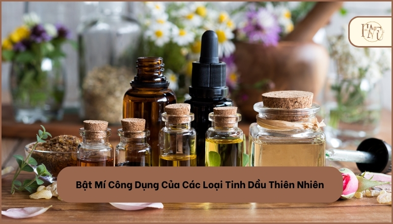 Công Dụng Của Các Loại Tinh Dầu