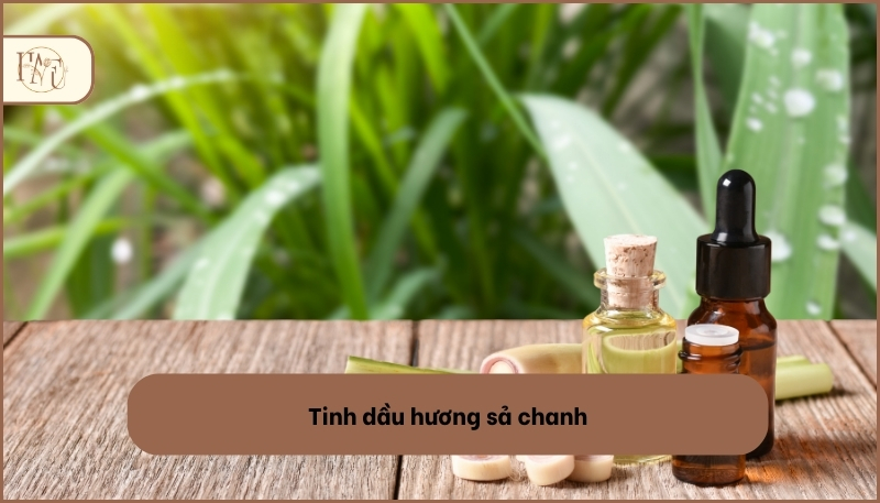 Tinh dầu hương sả chanh