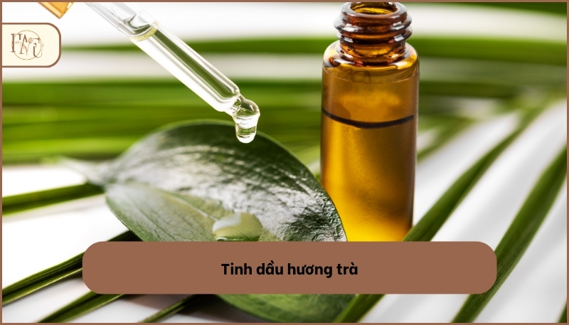 Tinh dầu hương trà