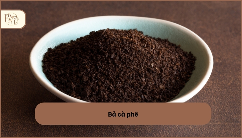 Cách khử mùi ẩm mốc trong phòng bằng cà phê