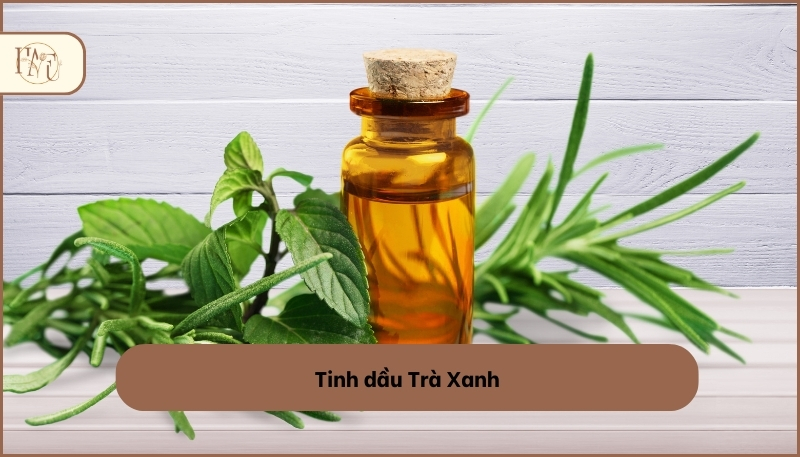 các loại tinh dầu