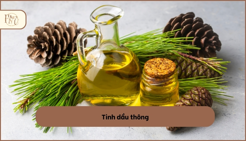 các loại tinh dầu