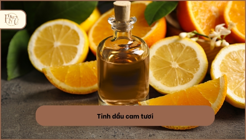 các loại tinh dầu