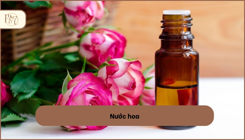 các loại tinh dầu