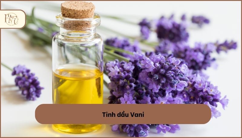 các loại tinh dầu
