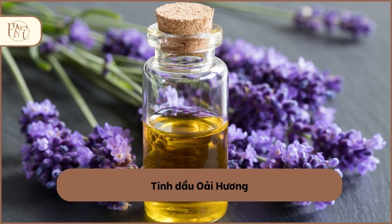 các loại tinh dầu