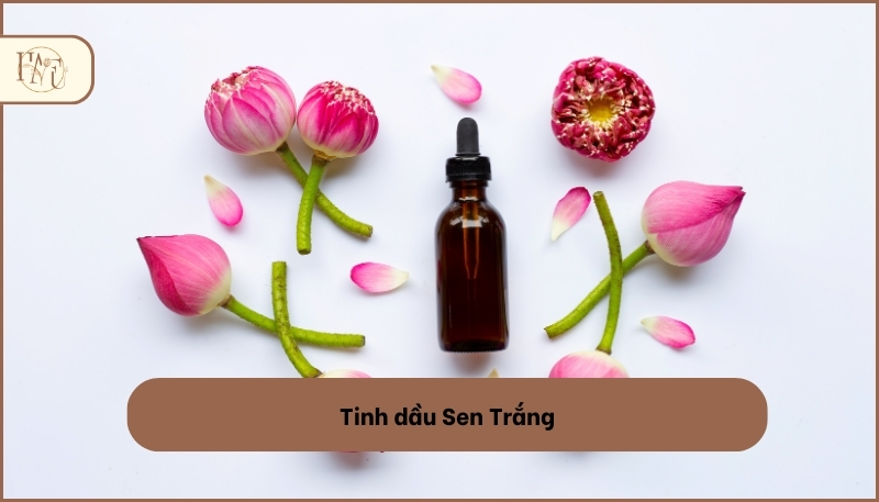 các loại tinh dầu