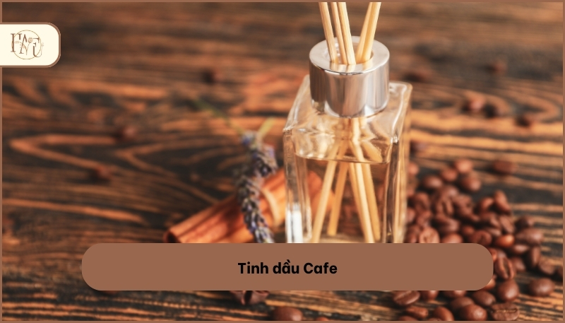 các loại tinh dầu