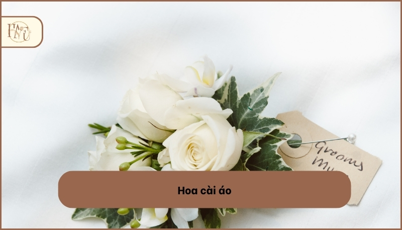 Phụ kiện hoa cài áo