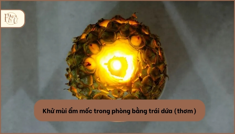 Cách khử mùi ẩm mốc trong phòng bằng trái dứa (thơm)