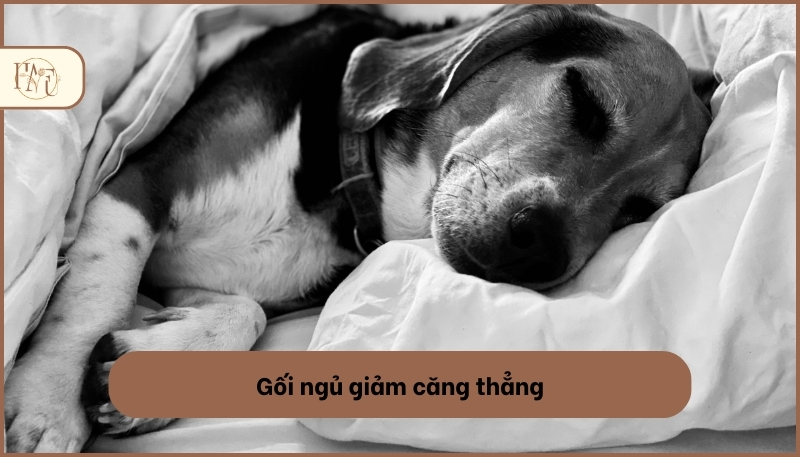 quà độc lạ