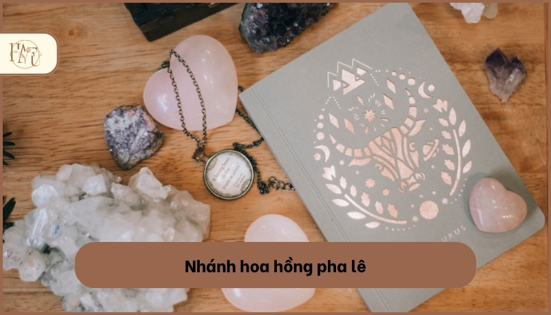quà độc lạ