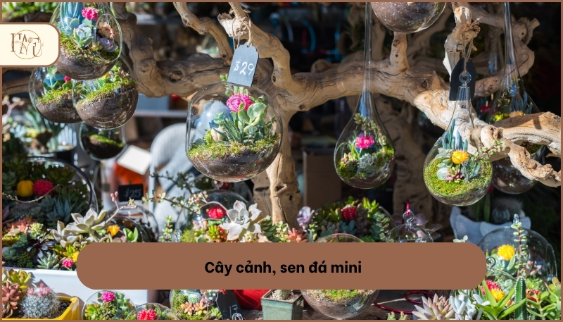 Quà tặng ý nghĩa