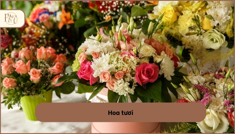 Quà tặng ý nghĩa
