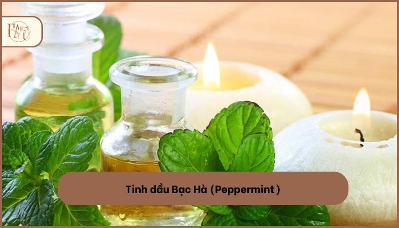 Tinh dầu Bạc Hà (Peppermint)
