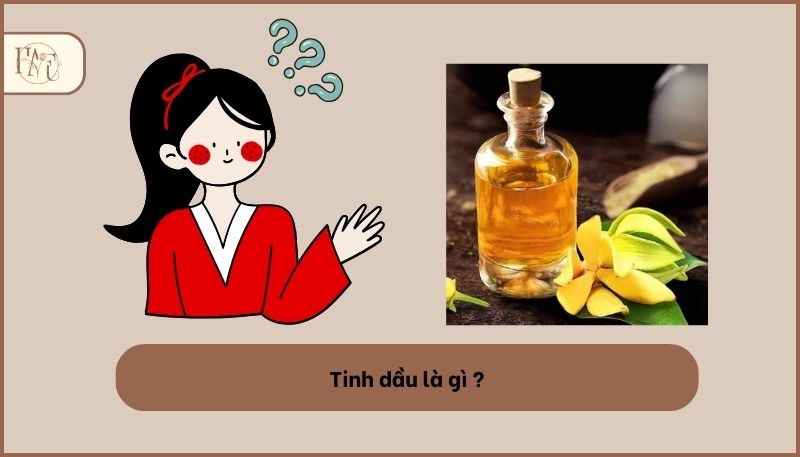 Tinh dầu là gì?